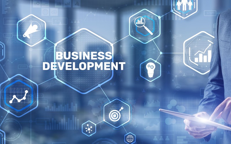 Consultancy & Development Services